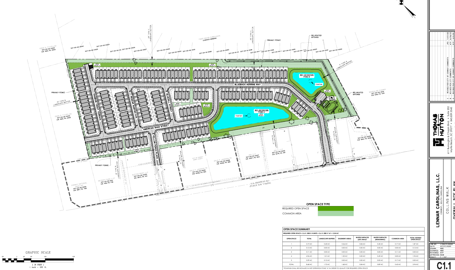 Preliminary Site Map for Collins Walk by Lennar